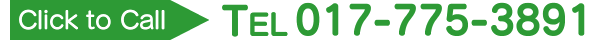 017-775-3891